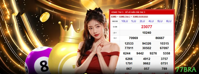 Experiência VIP 77bra